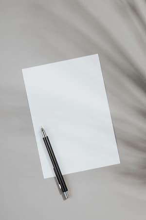 Установча сесія